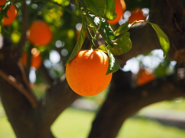 Orange Is the New Black: Herečky za mrežami