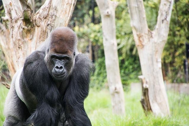 My deti zo stanice ZOO: Šokujúci príbeh drogovej závislosti