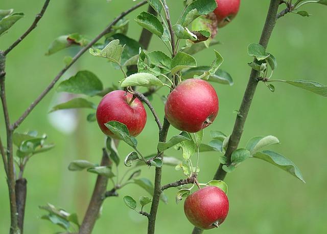 Karlík a továreň na čokoládu: Sladká rozprávka – Herci