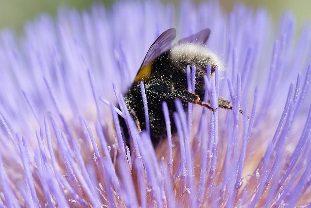 Bumblebee: Transformers sa vracajú s novými tvárami