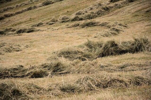 Akčná scéna: Ktorá je najnapínavšia a najlepšie natočená