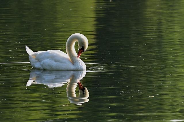 Hlavní hrdinovia: Bella Swan a Edward Cullen