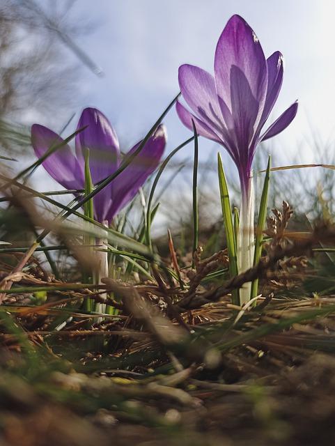 - Hviezdy roku: Zoznam najlepších filmov, ktoré nás potešili a inšpirovali