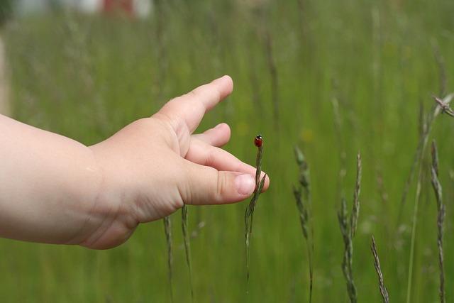 Prvý dotyk česko-slovenskej kinematografie s celosvetovým úspechom