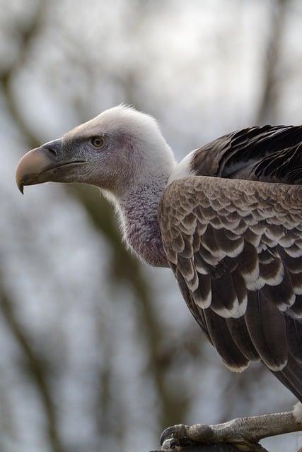 ZOO: Herecké obsadenie nového českého seriálu