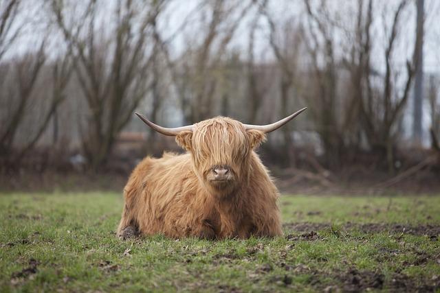 Highlander: Nesmrteľní herci, ktorí stvárnili legendu