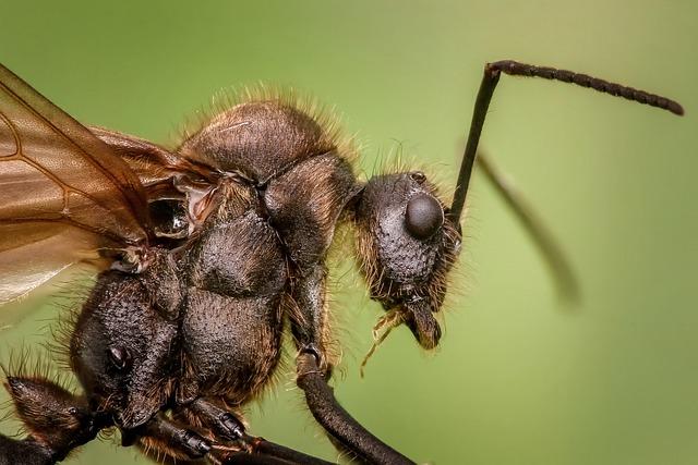 Vojna a mier: Epická dráma na javisku SND – Obsadenie