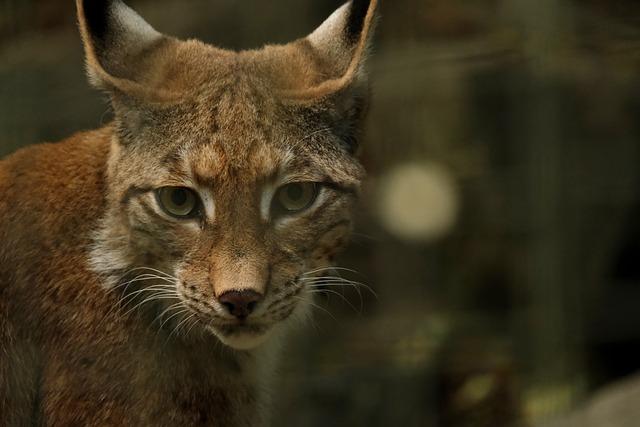 Rodinné prípady: Popisuje skutočnosti z každodenného života